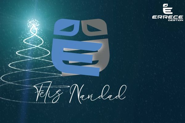 Errecé Gestión te desea ¡Feliz Navidad y un brillante 2024!